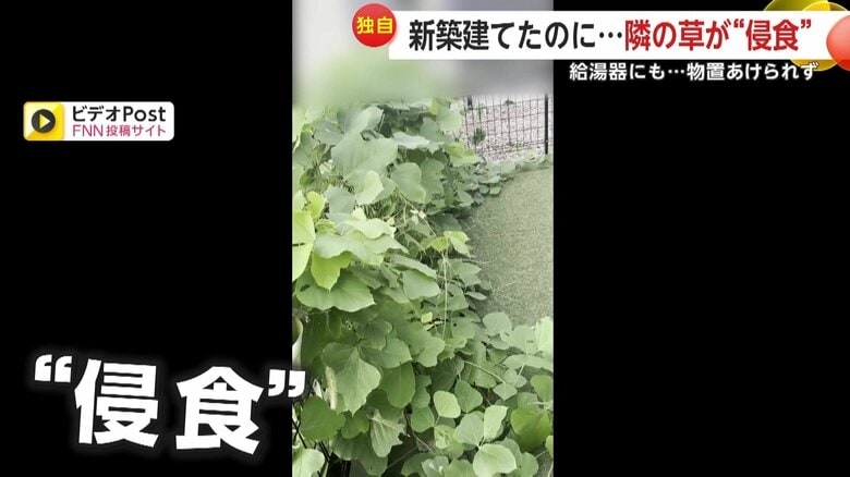 投稿者から寄せられた映像（FNN投稿サイト「ビデオPost」）