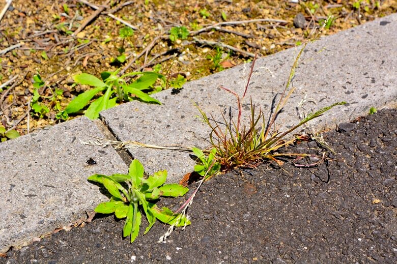 画像はイメージ