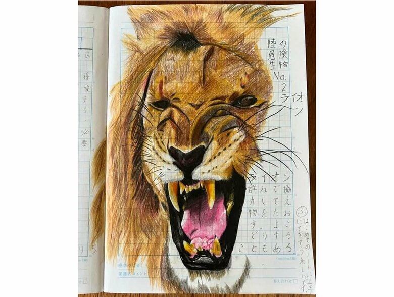 自主学習ノートに描いたライオン