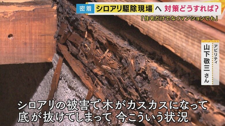 シロアリの被害に遭った家