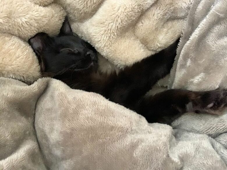 提供：イナタマグラムさん