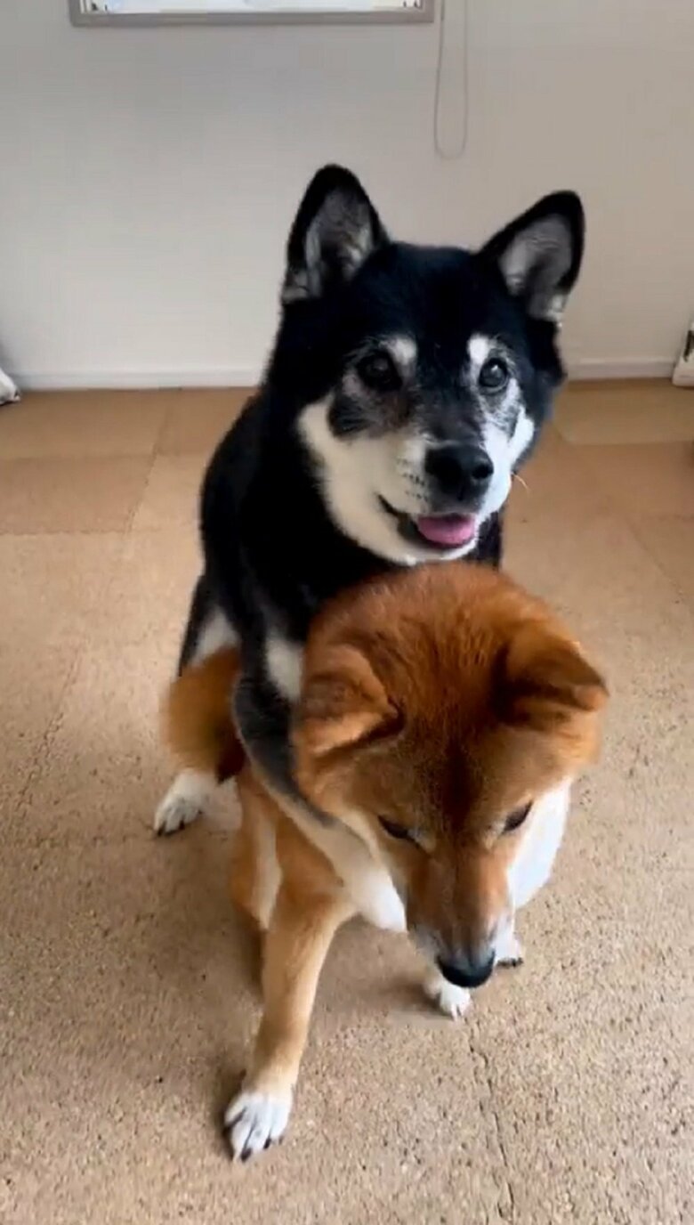 その勢いのままバックハグ！