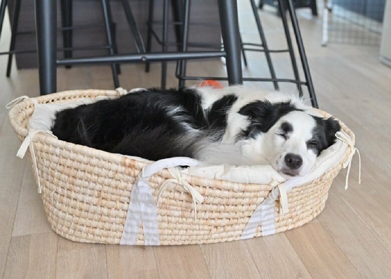 クーファン（赤ちゃん用の籠）は気に入って自分の物に…