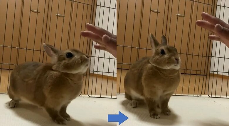 おすわり