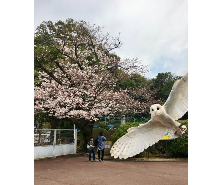 提供：周南市徳山動物園