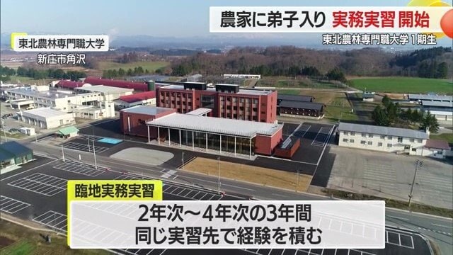 東北農林専門職大学は2年次～4年次のカリキュラムとして実務実習を行っている