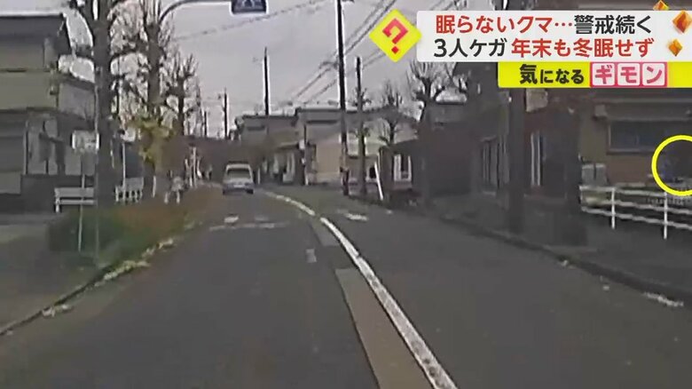 道路の向こうから急接近するクマに気づいた人が慌てて逃げる瞬間⑤