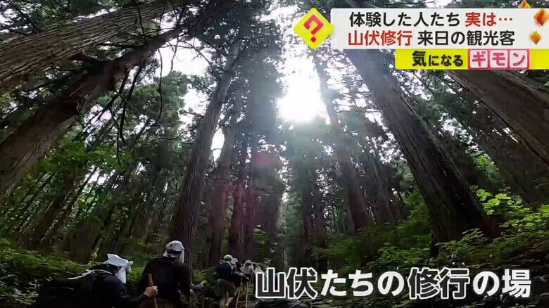 うっそうとした木々の中、山を登る人たち