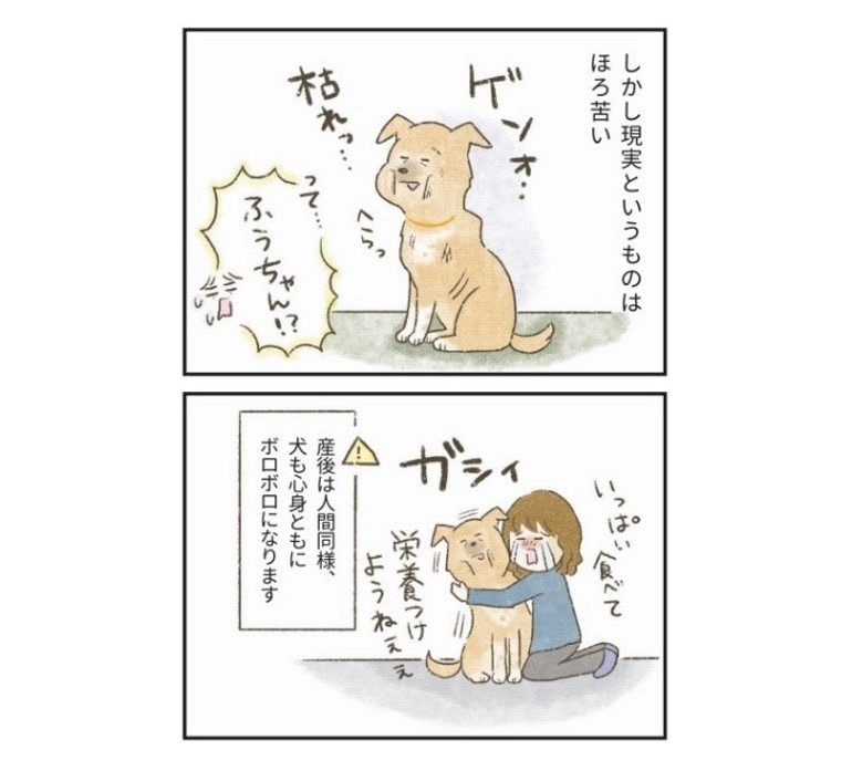 『たまさんちのホゴイヌ2』（世界文化社）より