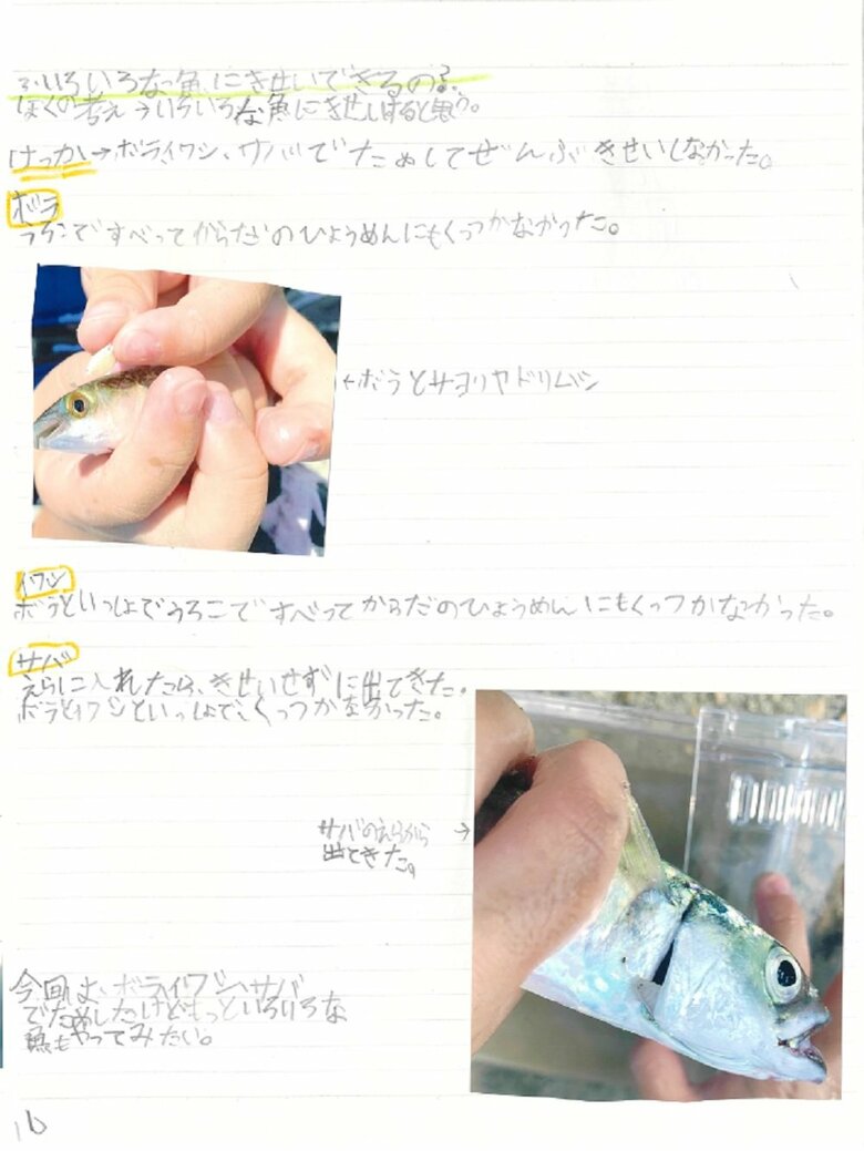 10ペ－ジ目（サヨリヤドリムシでしらべてみた・どんな魚に寄生するのか）