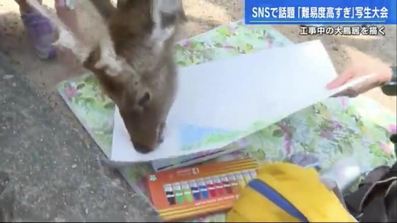 鹿に画用紙をかじられるトラブルも…