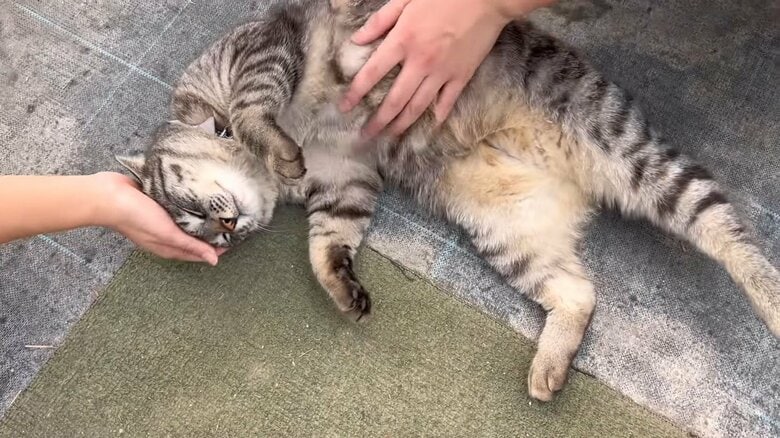 得意技“なでてのポーズ”