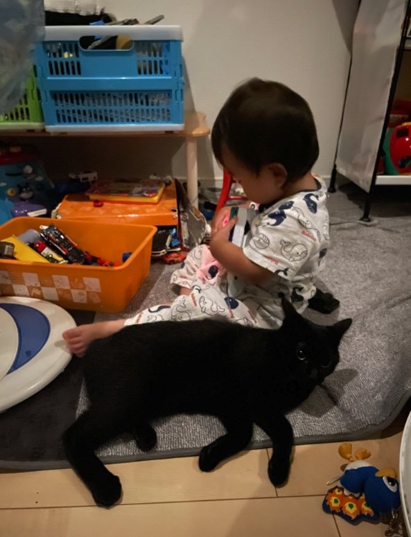 提供：ゴンゾウR4さん