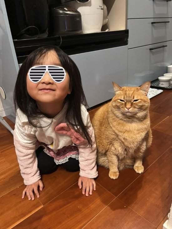 提供：すずつむふうさん