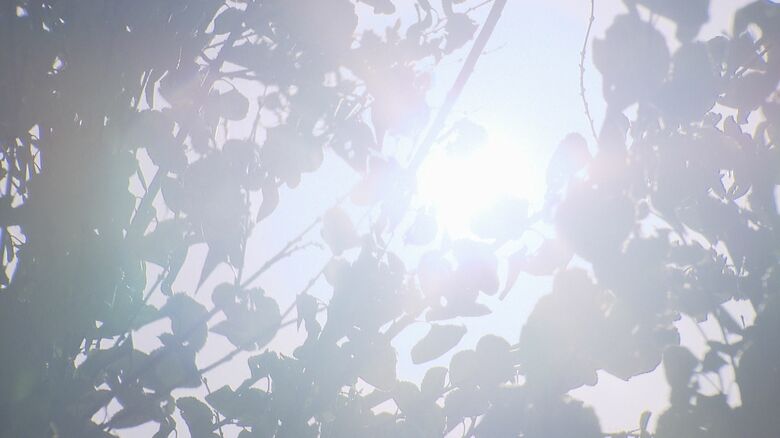 梅雨が明ければ本格的な夏