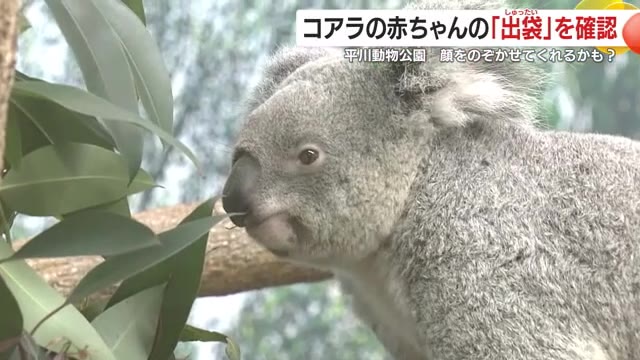 成長を見守ってね