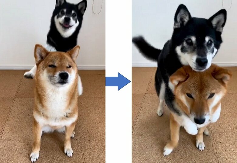 後ろから勢いよくバックハグ！