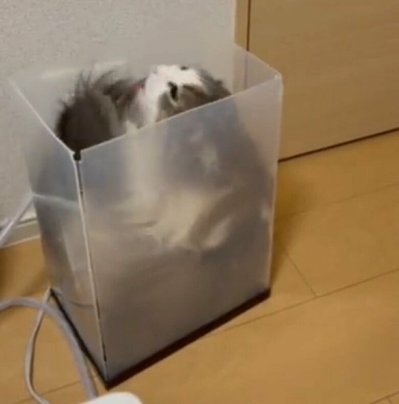 自ら入って、中で毛づくろい