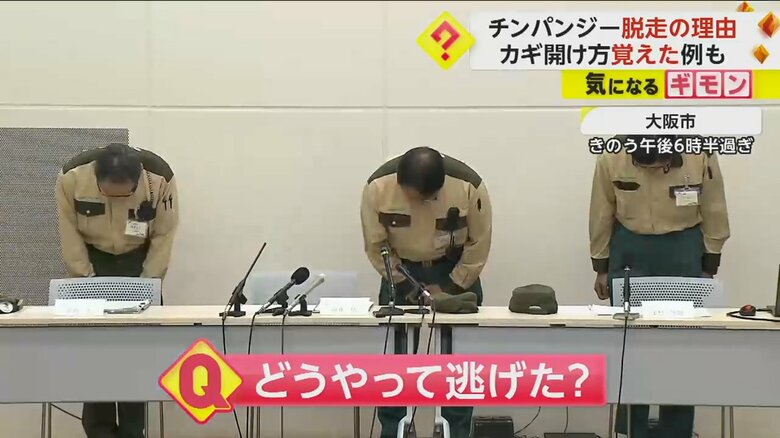 チンパンジーが脱走した状況を説明する大阪・天王寺動物園の職員たち
