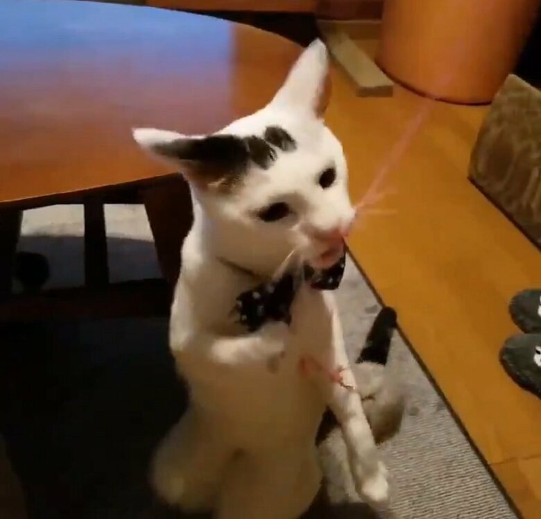 正座のように座っている