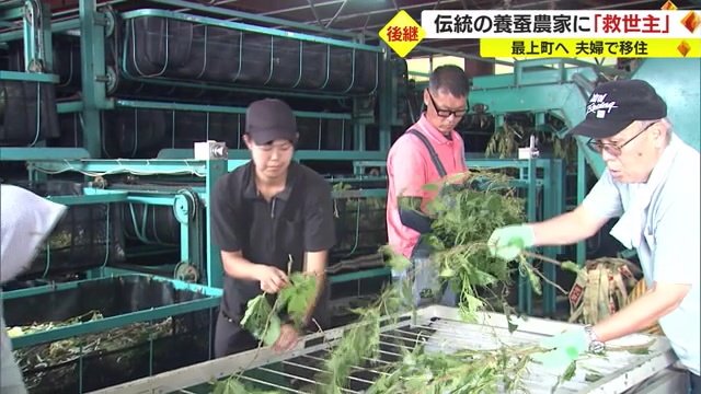 繭を作る前の作業