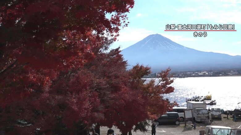 （11月10日撮影）