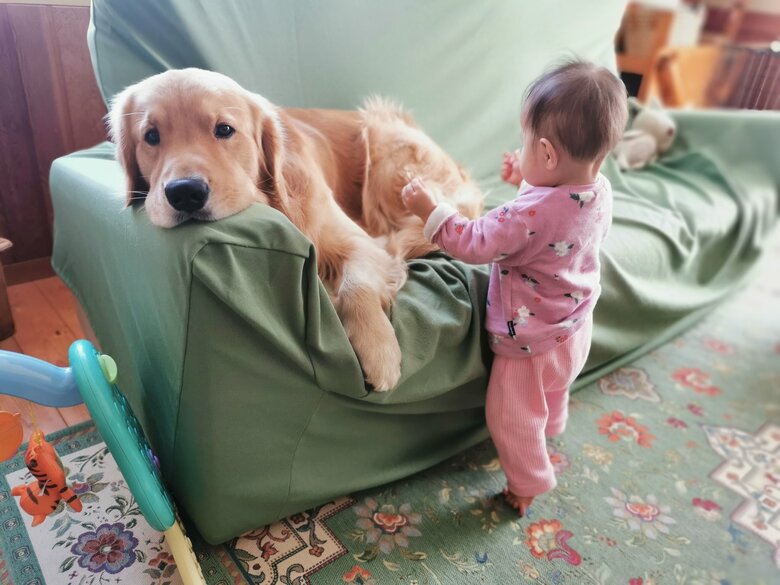 普段のふぉるてくんとベビさん（提供：ふぉるてさん）