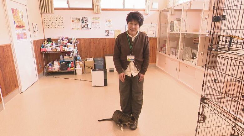 ネコ部員に懐く「マツ」