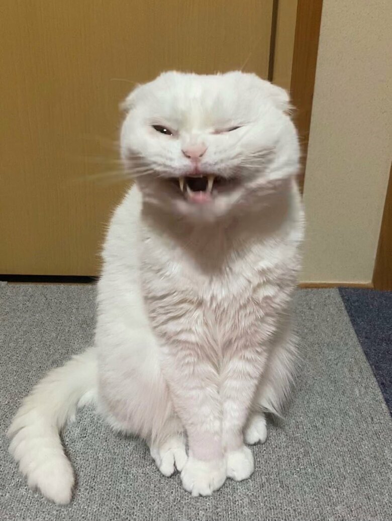 まるかさんお気に入りのむくくん