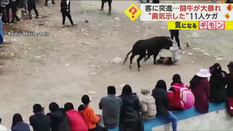 一騎打ちを挑んだ男性が、牛に突進される瞬間⑨