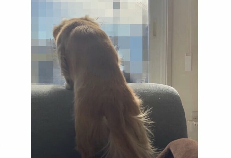 提供：___0516.wanさん