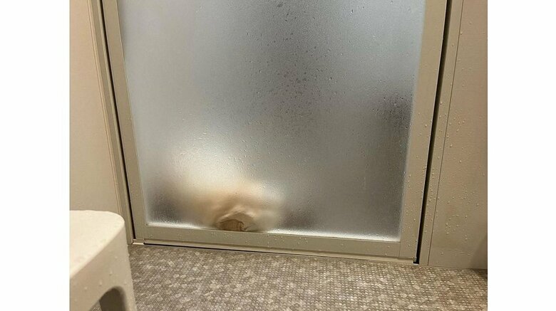 横になって待っていることもある