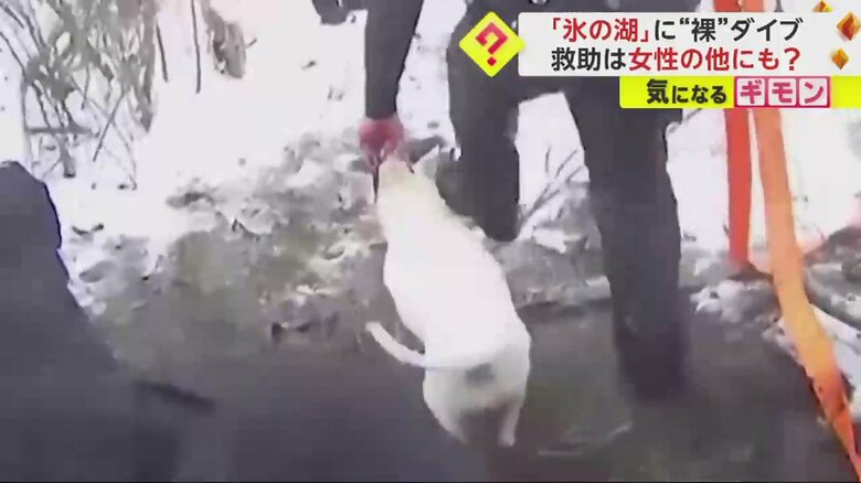 無事に保護され、しっぽを振って帰って行った