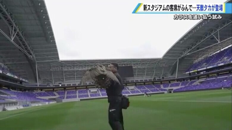 鷹匠・松前嘉剛さん