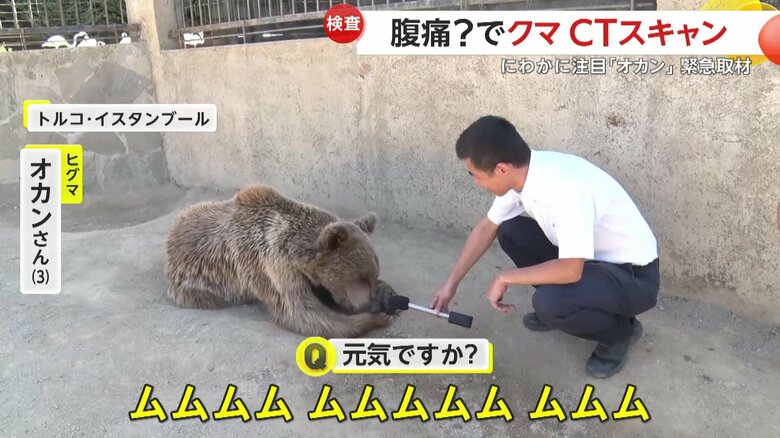 インタビューに答えるオカン（IHA）