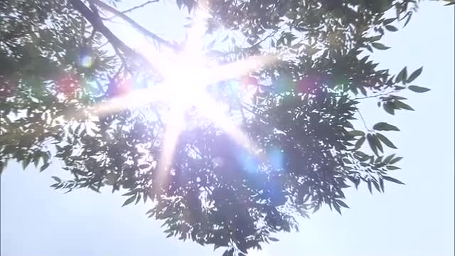 ９日も各地で猛暑日　熱中症の疑いで倉敷市の７０代男性が意識不明の重体で救急搬送【岡山・香川】