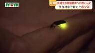 長崎大水害犠牲者の慰霊　伊良林小学校で育てたホタルを児童たちが観賞