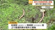 県内強風の荒れた天気に　JR筑肥線では列車に倒木が接触　運休も【佐賀県】