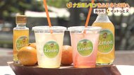 飲めばふるさとを思い出す 地元産レモンで作る「レモネード」　末永く愛される味を目指して