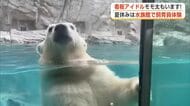 モモ太を見た後は夏休みだけの特別体験！男鹿水族館GAOの裏側へ　生き物にタッチ、餌やりも　秋田
