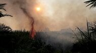 インドネシア森林火災　東京都の面積４倍以上が焼失　シンガポールやマレーシアにも大気汚染の影響拡大