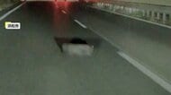 「今思うとゾッとしますね」走行中目の前に“黒い物体”正体は落下した“タイヤ片”　瞬時にハンドル切り衝突回避　静岡・浜松市