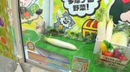 野菜やトイレットペーパー・洗剤など日用品をお得にキャッチ「クレーンゲームスーパー」登場　5円玉・10円玉で遊べるゲームも