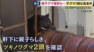 「縁の下にクマがいる」　京都で初の「緊急銃猟」を実施　2頭の親子ツキノワグマ駆除も子グマ1頭はいまだ『逃走中』　近畿全体でも緊急銃猟が行われたのは2件目　京都・舞鶴市