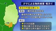 クマが約150個の桃を食べたか　一関市と岩泉町で物的被害相次ぐ　岩手県