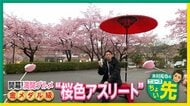 「大漁桜」満開迎えた神奈川・小田原市から“桜グルメ”を紹介　かまぼこ、蕎麦、ちくわにスイーツで桜を楽しみ尽くす