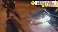 「車に“いるはずのないもの”が潜んでいる」通報受けて耳を疑う…