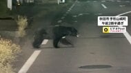 カメラが捉えた住宅街に向かって道路を横断するクマ　80代女性顔など引っかかれ搬送…秋田と福島で人身被害相次ぎ5人けが