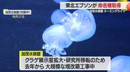 加茂水族館ネーミングライツ・東北エプソンが命名権取得　「東北エプソンアクアリウムかもすい」に　山形