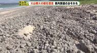 100年に一度の大噴火が原因 大量「軽石」が静岡・関東に到達したら…影響を火山専門家に聞く